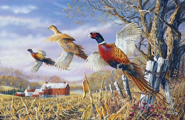 Охота на фазанов арт