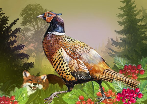 Фазан на дереве