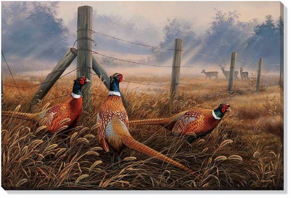 Pheasant Hunt Spa фазаны