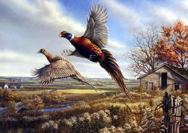 Охота на фазана живопись