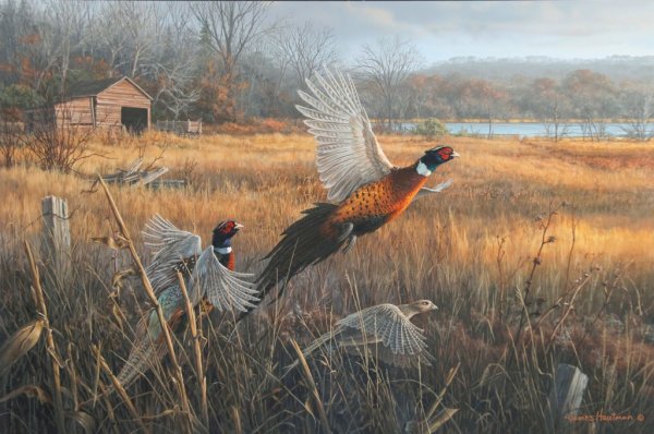 Художник Роберт Хаутман