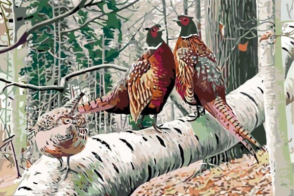 Картина по номерам фазаны