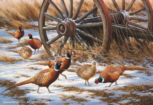 Охота на фазанов арт