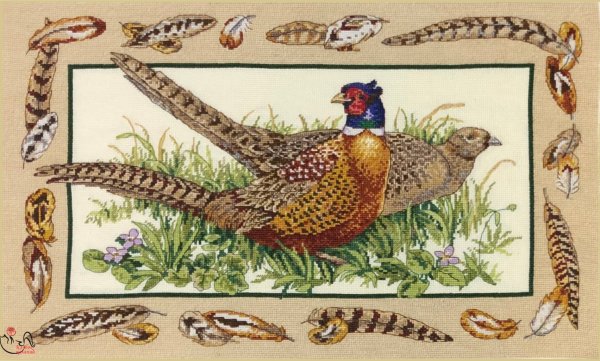 Фазаны Дименшенс