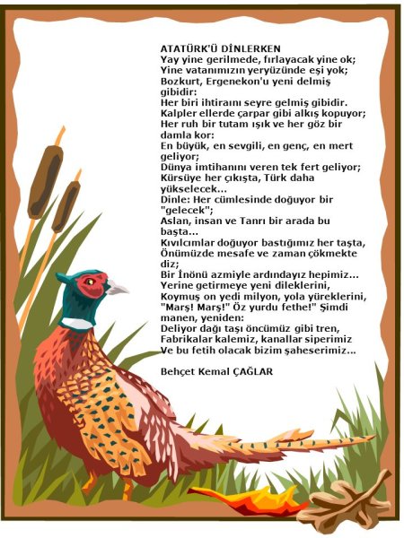 Рамки с домашними птицами