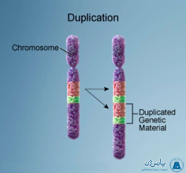 Дупликация части хромосомы 21