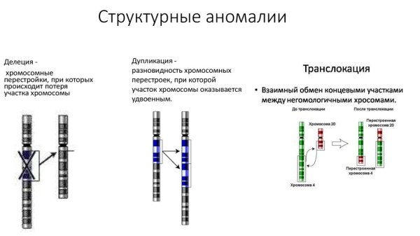Синдромы структурных аномалий хромосом