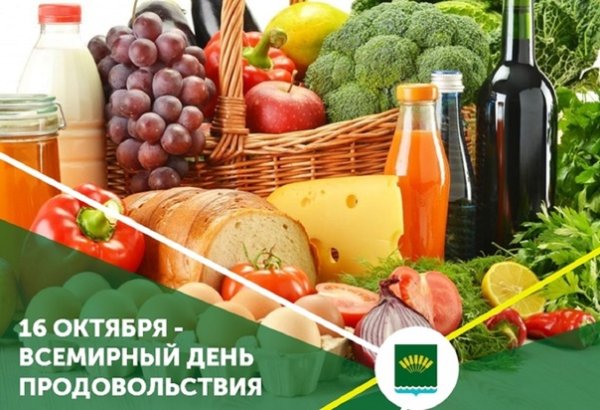 Всемирный день продовольствия 16
