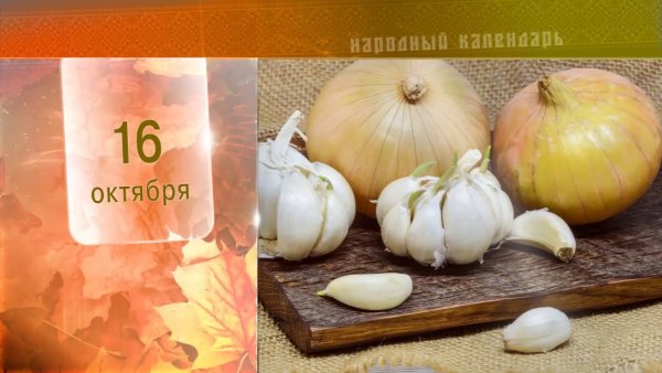 Денис Позимний народный календарь