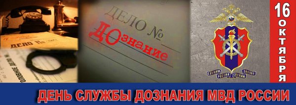 День службы дознания