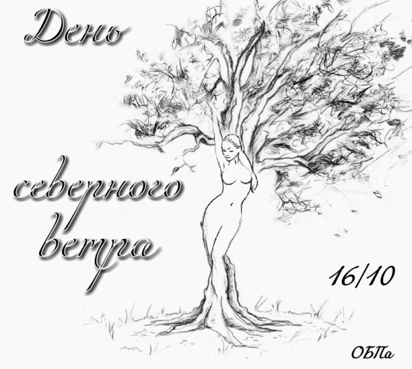 День Северного ветра