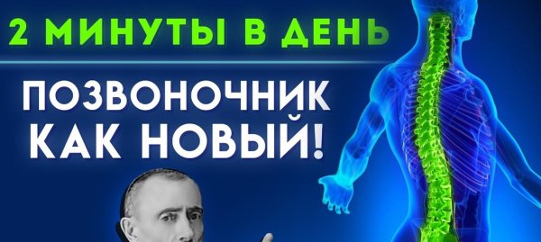 День позвоночника