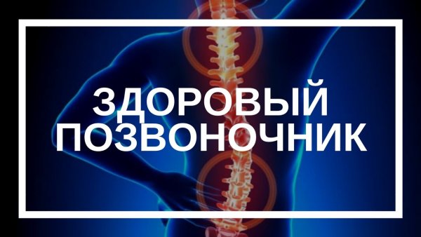 Здоровая спина надпись