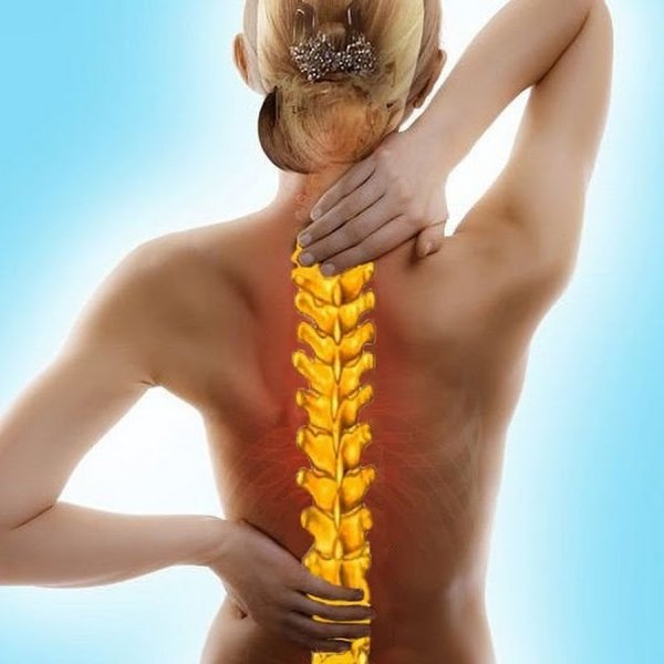 Красивый позвоночник