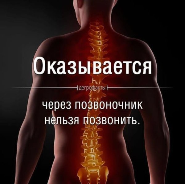Почему по позвоночнику нельзя позвонить