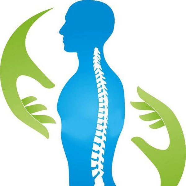 Позвоночник силуэт