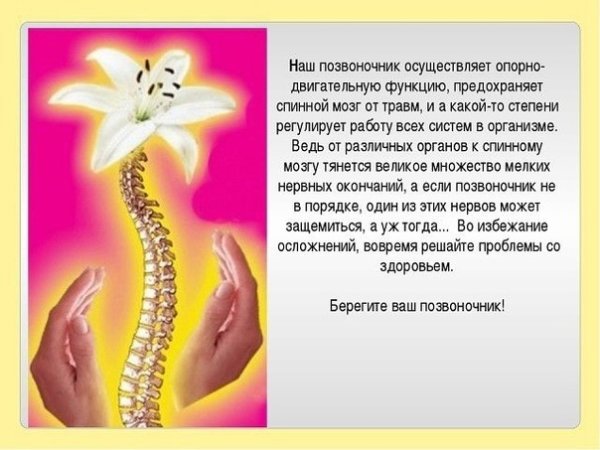 Береги позвоночник
