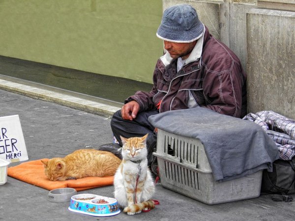 17 Октября день борьбы за ликвидацию нищеты