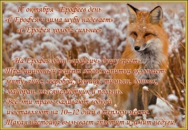 Ерофеев день 17 октября приметы