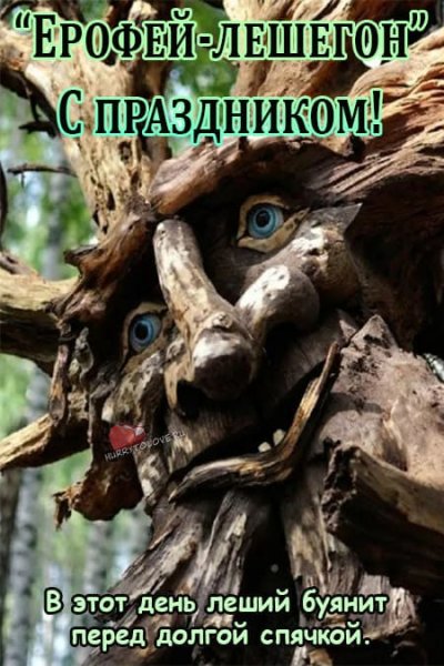 17 Октября праздник день лешего