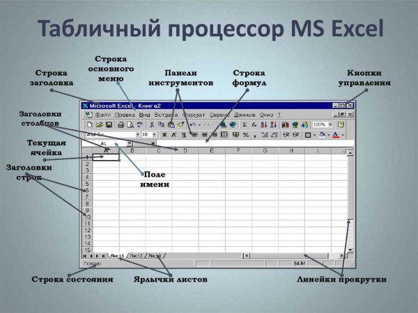 Табличный процессор MS excel