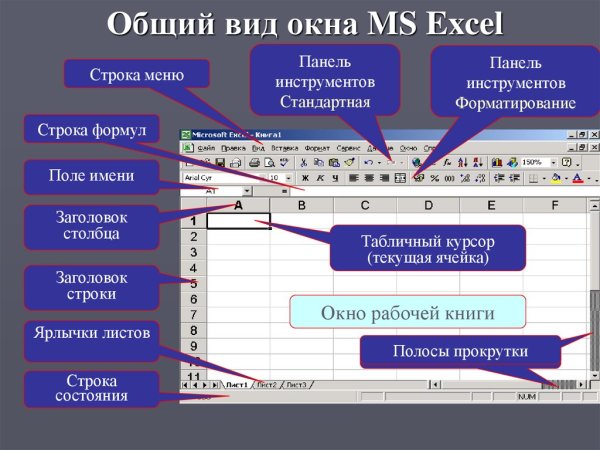 Табличный процессор MS excel