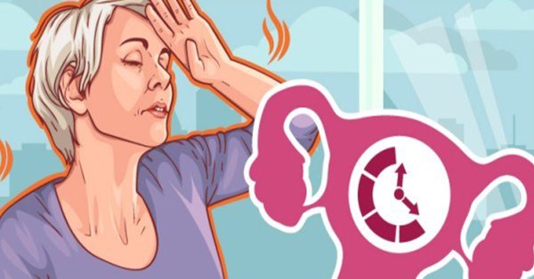 Менопауза рисунок