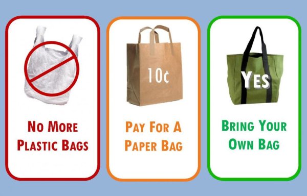 Paper Bag vs Plastic Bag
