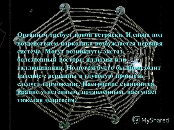 Международный день «встряски»