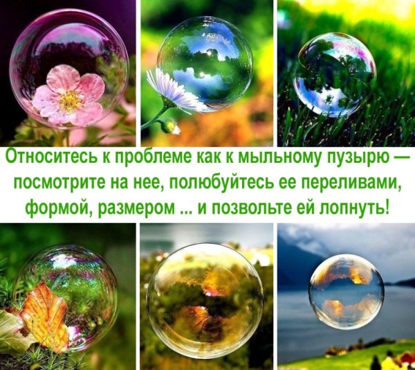Мыльные пузыри юмор