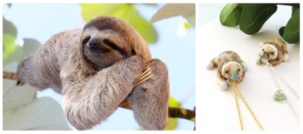 Международный день ленивца