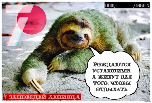 Прикольные надписи с ленивцами