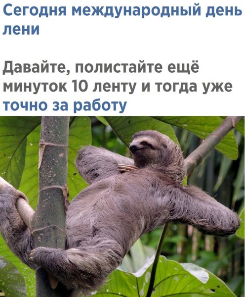 Сегодня Всемирный день лени