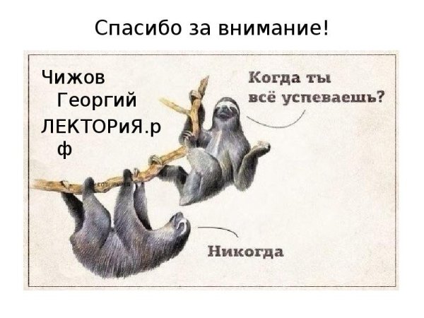 Когда ты все успеваешь