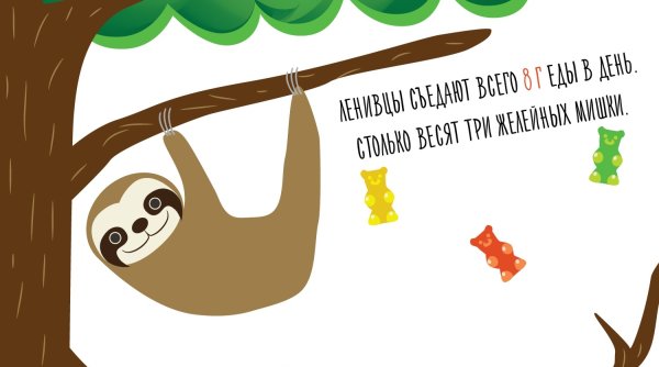 Ленивец интересные факты для детей