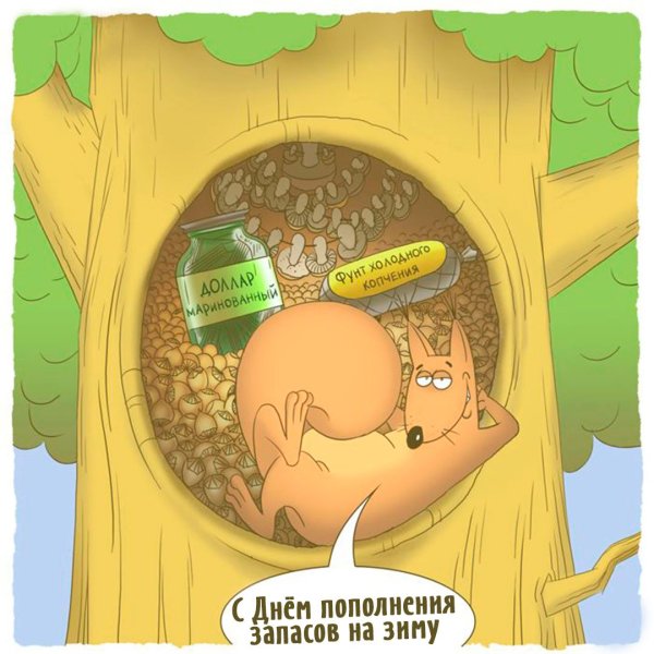 Карикатуры про белку