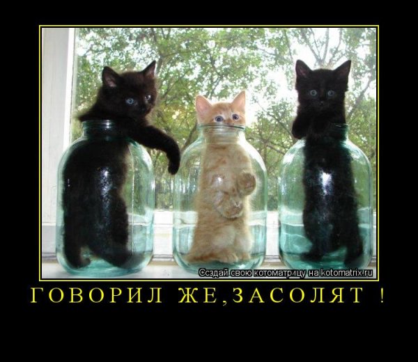 Запасы на зиму юмор