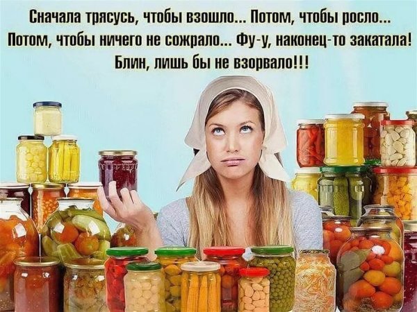 Приколы про заготовки на зиму