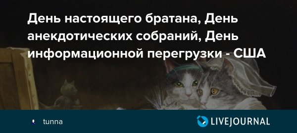 День анекдотических собраний 20 октября