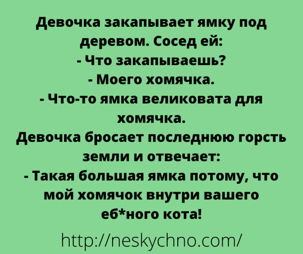 Лучшие анекдоты дня