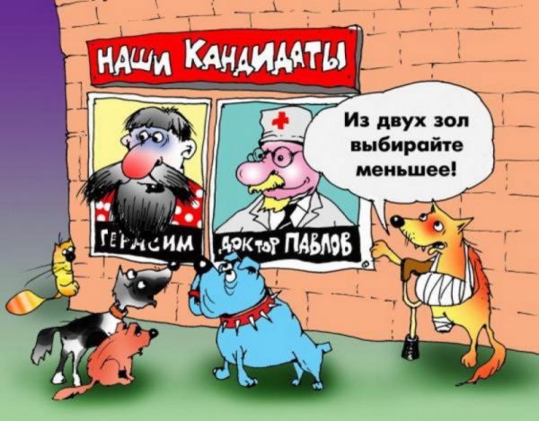 Кандидаты карикатура