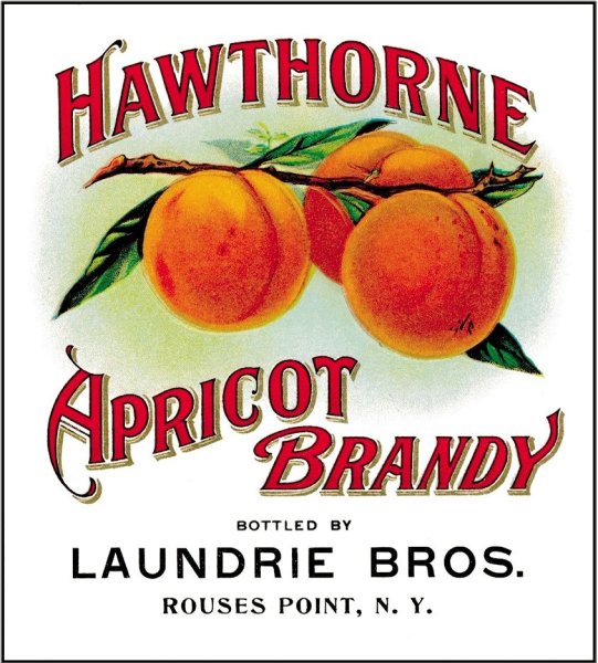Абрикосовый ликер этикетка