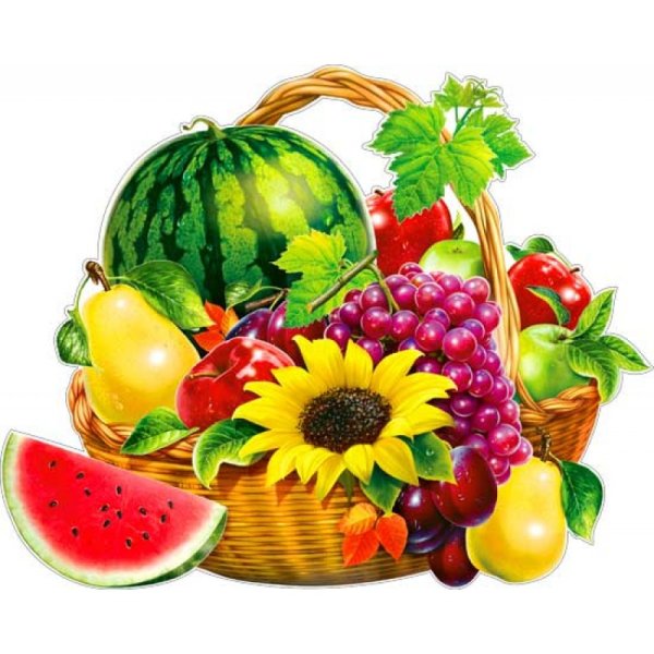 Плакат. Фрукты и ягоды