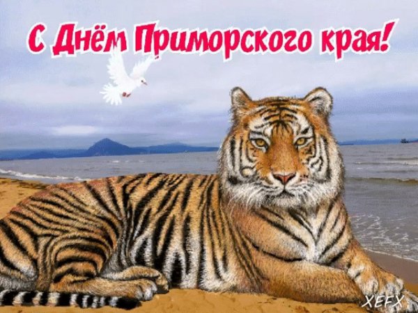 День рождения Приморского края