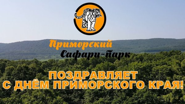 Поздравление с днем Приморского края
