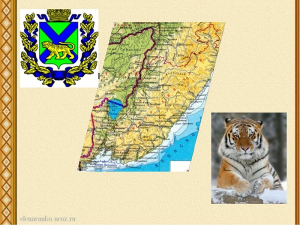 Мой край Приморский презентация