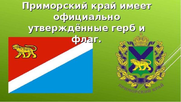 Флаг Приморского района Архангельской области