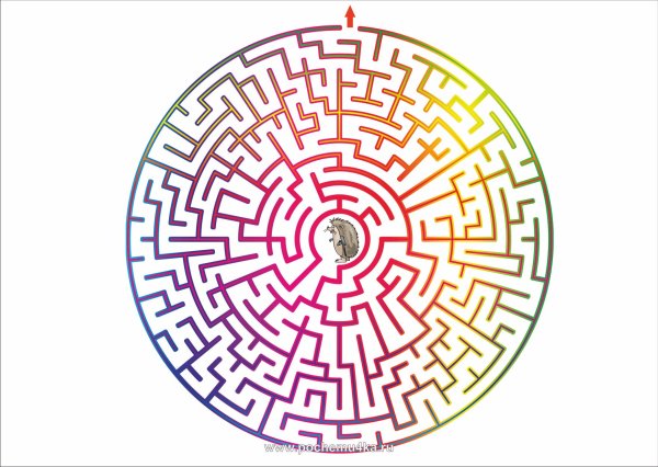 Лабиринт круглый для детей