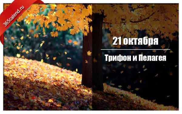 Картинка 21 октября праздник Ознобицы