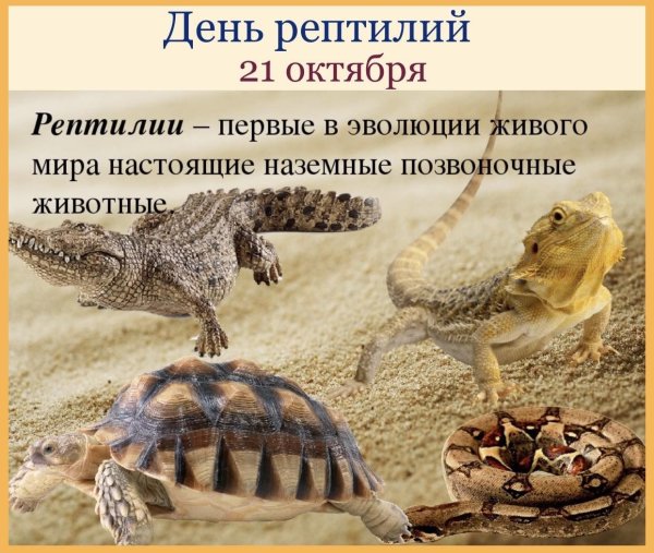 Первые настоящие наземные животные